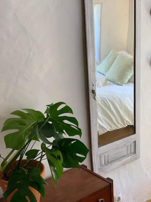 Bed and Breakfast Alma Do Paco Santo Isidoro Экстерьер фото
